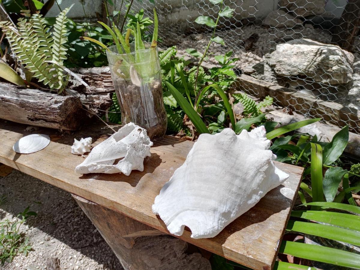 Apartmán Mi Cuartito En Bacalar Exteriér fotografie